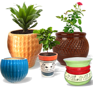 Medium and Large Planters