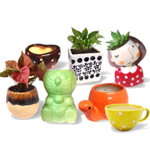 TableTop Pots